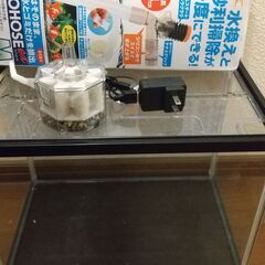 水槽、空気循環器、水槽清掃用具