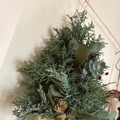 クリスマスツリー　フレッシュ　壁掛け　ハンドメイド　コニファー　ユーカリ　ドライフラワーの画像