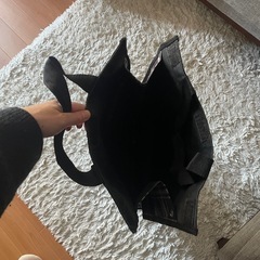 キャリーバッグの画像