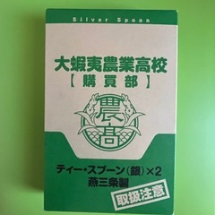 銀の匙　ティースプーン
