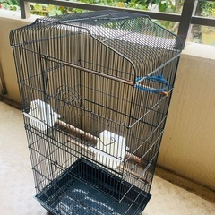 【終了】鳥かごの画像