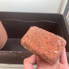 園芸などに レンガ 10*5*3cm