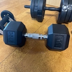 スポーツ フィットネス、トレーニングの画像