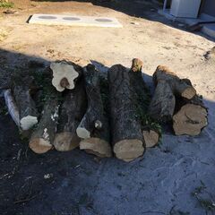 マキの原料差し上げます。(引取りに来ていただける方)