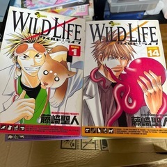 WILD LIFE 全27巻(完結)