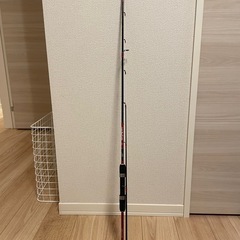 値引きOK　釣竿　DAIWAケース付の画像