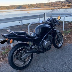 バリオス250の画像