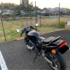 バリオス250の画像