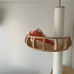 【キャットタワー 突っ張り型 木製 SUMIKA　ハイエンドモデル 】 つっぱり  おしゃれ コットン ネコタワーの画像