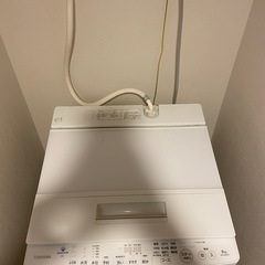 東芝 ウルトラファインバブル洗浄搭載 洗濯機 8㎏ 省スペースタイプの画像