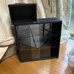 棚
