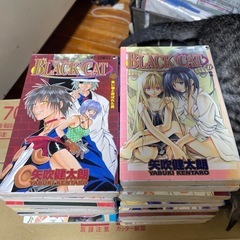 BLACK CAT全20巻(完結)