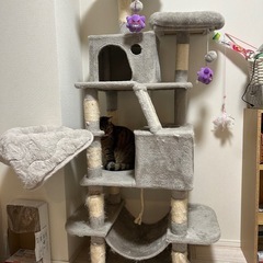 ねこタワー、大きい