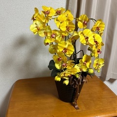 胡蝶蘭　
造花の画像