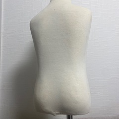 キッズトルソーの画像