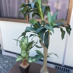インテリア 造花 観葉植物