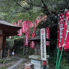 婚活相談　ご入会　初期費用無料キャンペーン