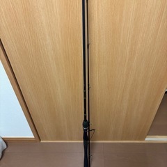 エギング、ルアーなど