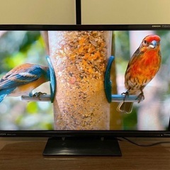 ２３型 液晶テレビ　