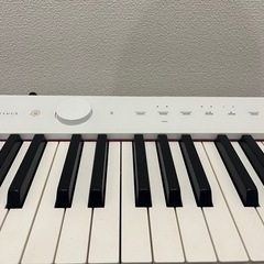 【ほぼ新品】CASIO /PX-S1000+スタンドの画像