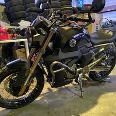 新車　スクランブラー125 G1の画像