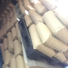 販売開始‼️「小原紅早生」旬のみかん！の画像