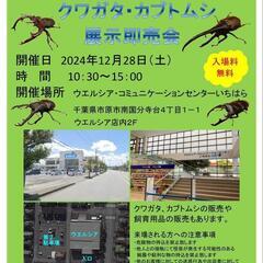 昆虫即売会！ヘラクレスオオカブトがいるよ！！ − 千葉県