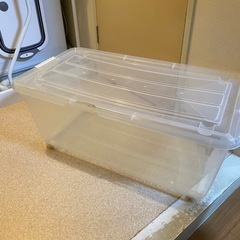 衣料、収納ケース