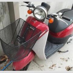 かわいい原付 ホンダ・トゥデイの画像