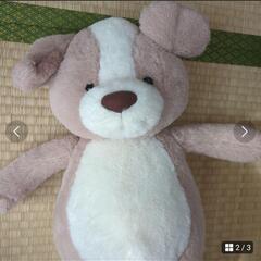 くまのぬいぐるみの画像