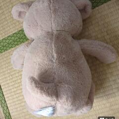 くまのぬいぐるみの画像