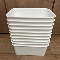 セリアプラBOX【メダカ容器】の画像