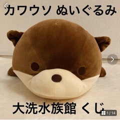 「かわうそ」のぬいぐるみを探してください💦
