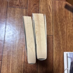 【本】小説　リング　と　らせん　2冊セットの画像