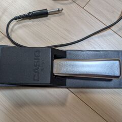 CASIO SP-10