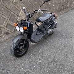 ホンダ　ズーマーAF58