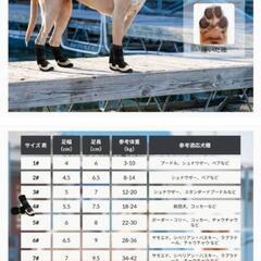 ドッグシューズの画像