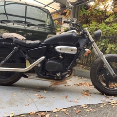 マグナ250