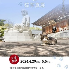 🐈 猫好きな人 写真好きな人 募集中 📸