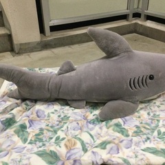 シャークぬいぐるみの画像