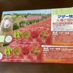 千葉県 マザー牧場 ◇ 入園券２枚セットです！◇ ’25 /１....