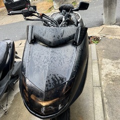 ヤマハマグザムの画像