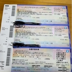 サザンオールスターズライブビューイングペアチケット
