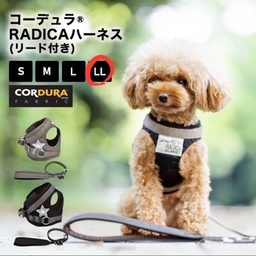 犬ハーネス＆リード