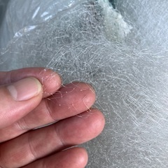 刺し網？の画像