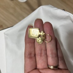 CHANEL シャネル　BOXと巾着袋の画像