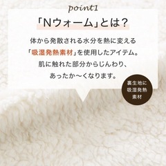 【未使用】ニトリ　　Nウォーム　あったかおでかけケット の画像
