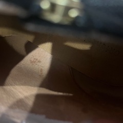 ショートブーツの画像