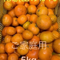 ☆和歌山みかん☆早生•中生☆サイズ混合☆訳あり5kg③