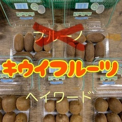 ☆和歌山県産キウイフルーツ☆小玉1パック☆⑥